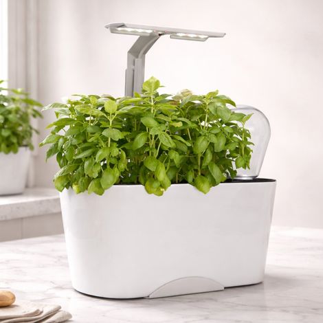 Self Watering Indoor Herb Garden with LED Grow Light - Adjustable Height Countertop Planter Growing System for Basil Mint Salad